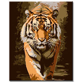 Tiger - Painting by Numbers
